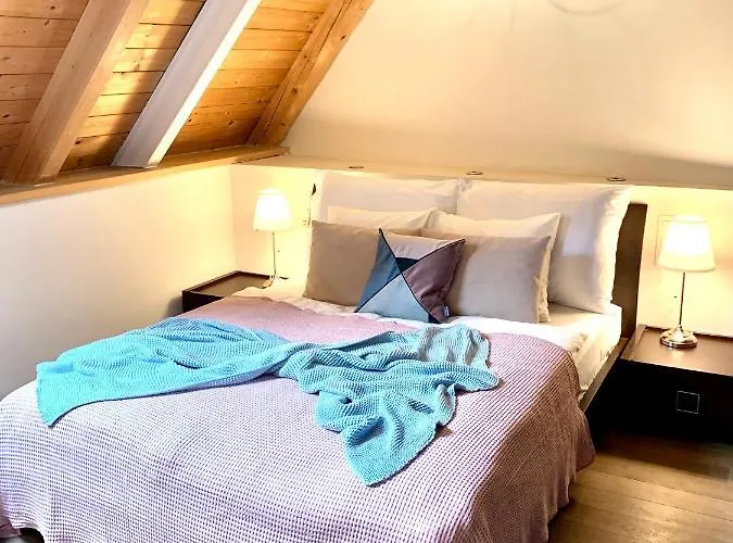 Petrska 公寓 *